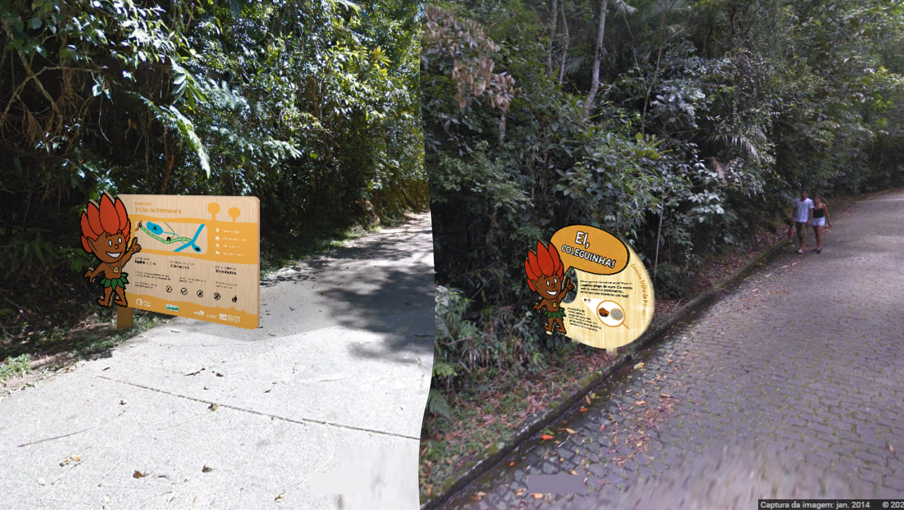 Two different signs, one at the start of a trail and the other in the middle of a trail, with fun facts about a frog