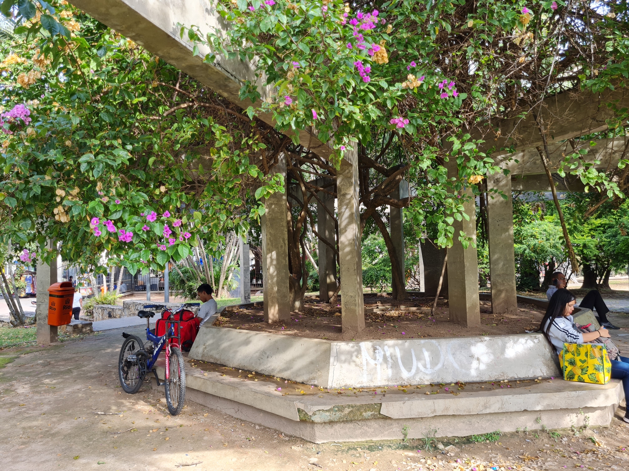 Bancos cobertos por flores com pessoas sentadas