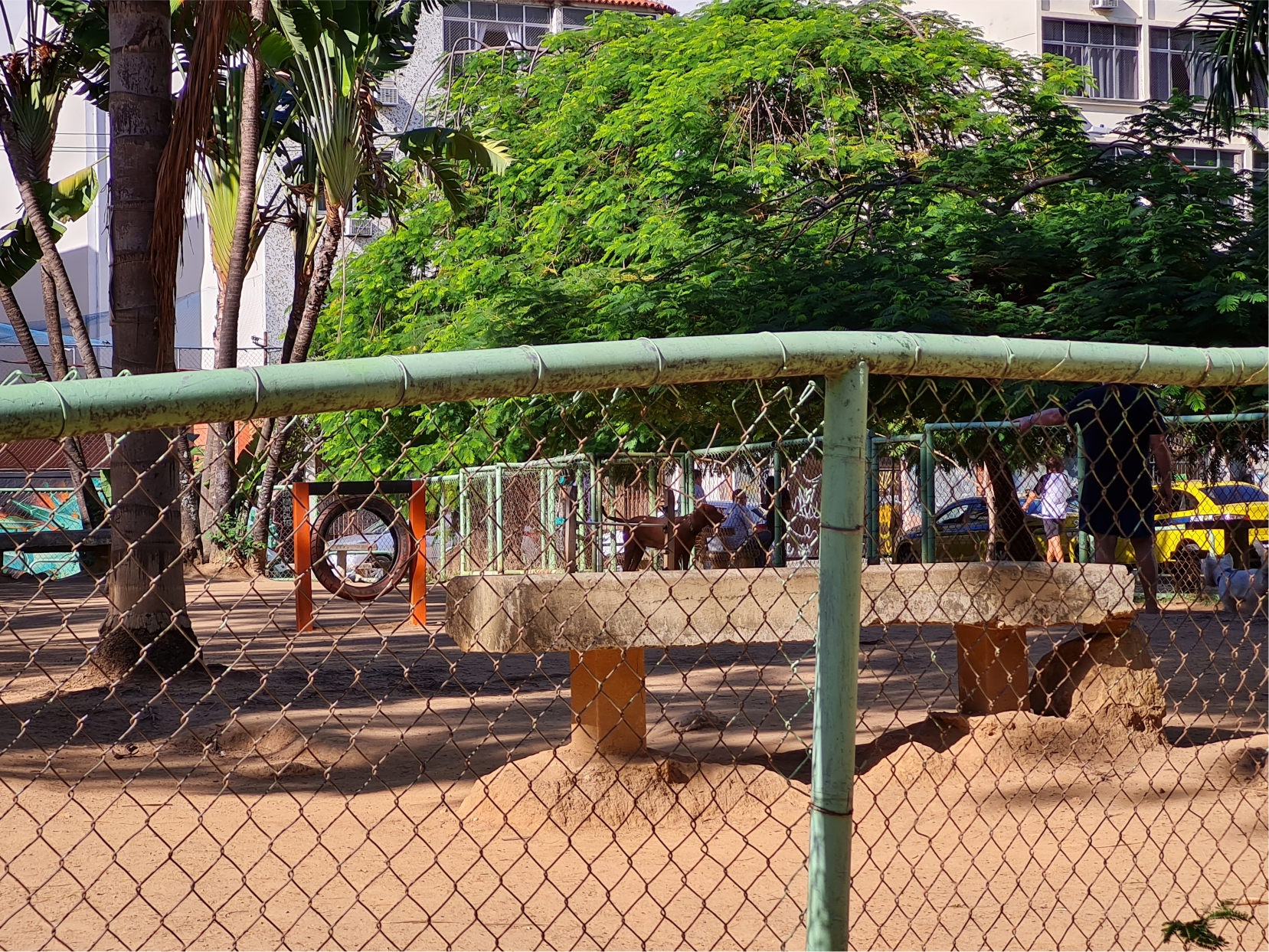 Parque de cachorros
