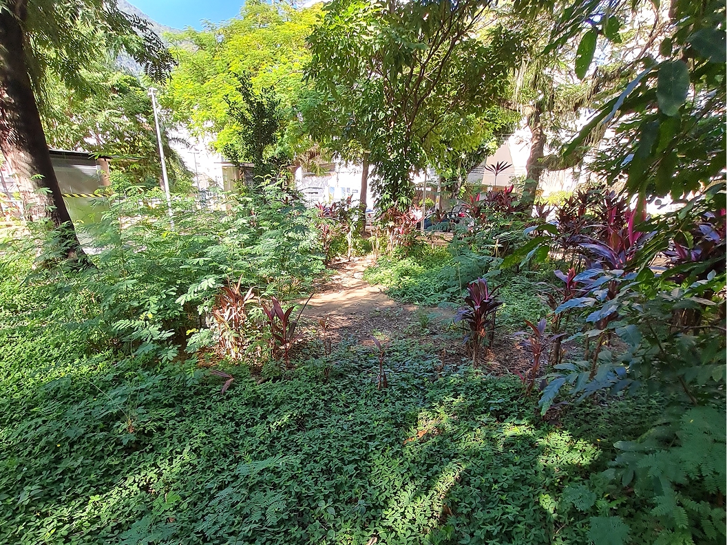 jardim usado como banheiro